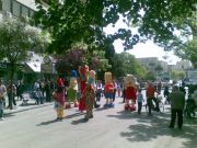 manifestaz