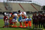mascott